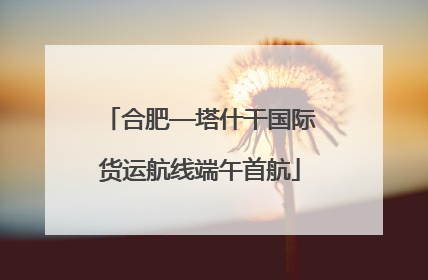 合肥—塔什干国际货运航线端午首航